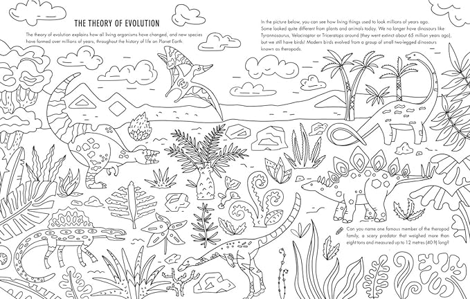 Evolution Colouring and Activity Book