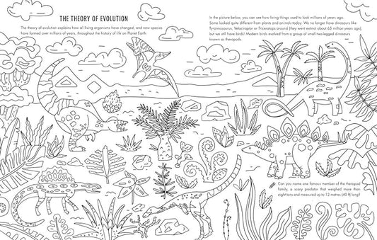 Evolution Colouring and Activity Book