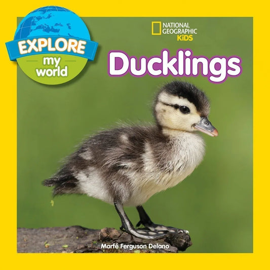 Explore My World Ducklings